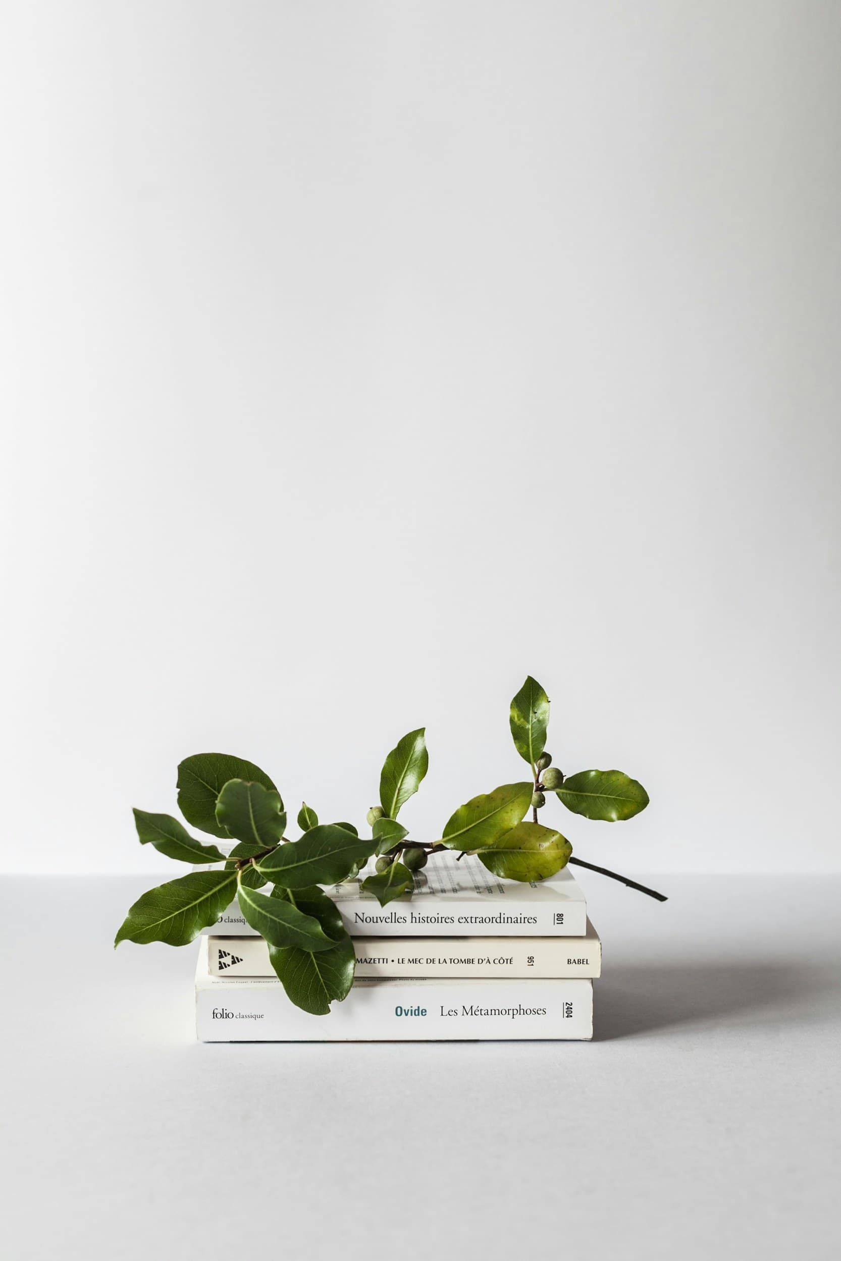 Sustainability Guidelines